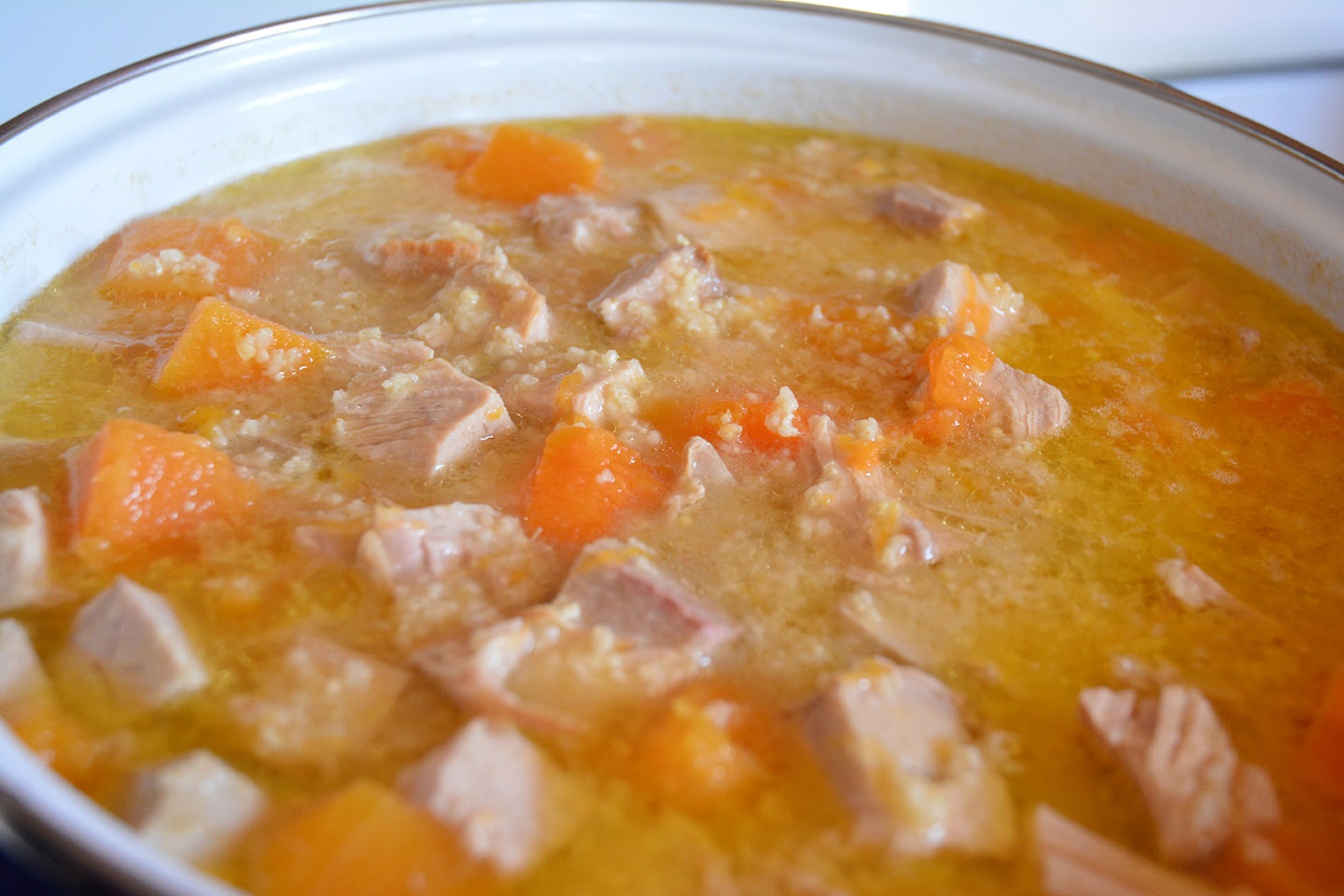Pork Stew for Dogs with Millet and Butternut Squash